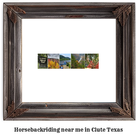 horseback riding near me in Clute, Texas